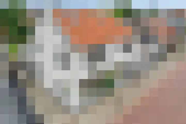 Wilhelminastraat 50 Wemeldinge thumbnail 31