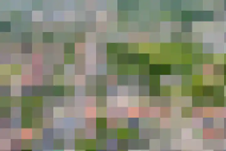 Wilhelminastraat 50 Wemeldinge thumbnail 34