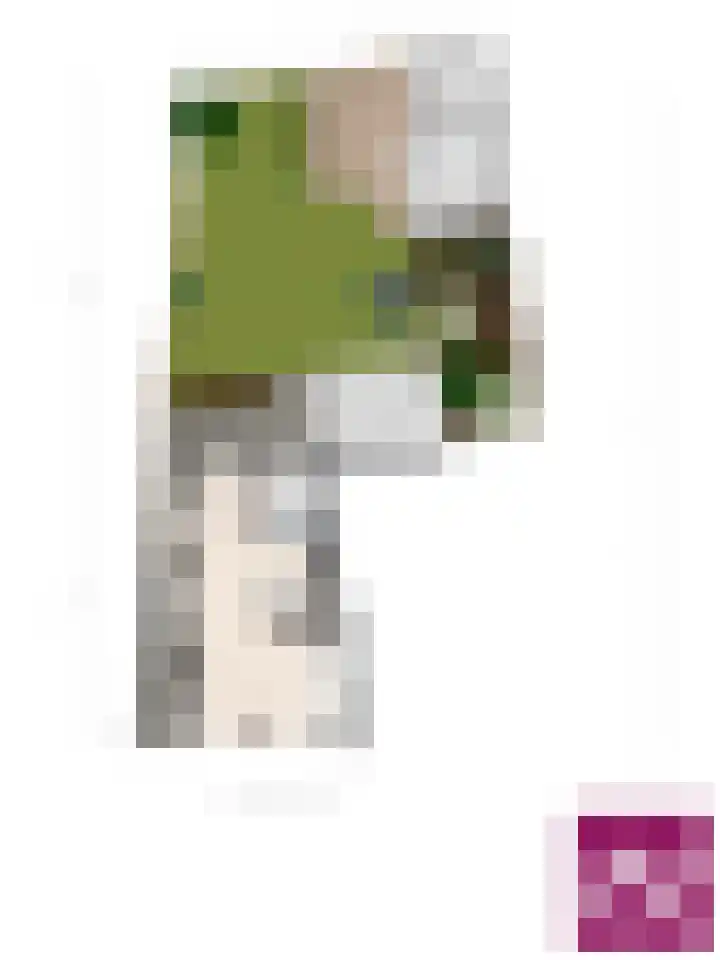 Wilhelminastraat 50 Wemeldinge thumbnail 36