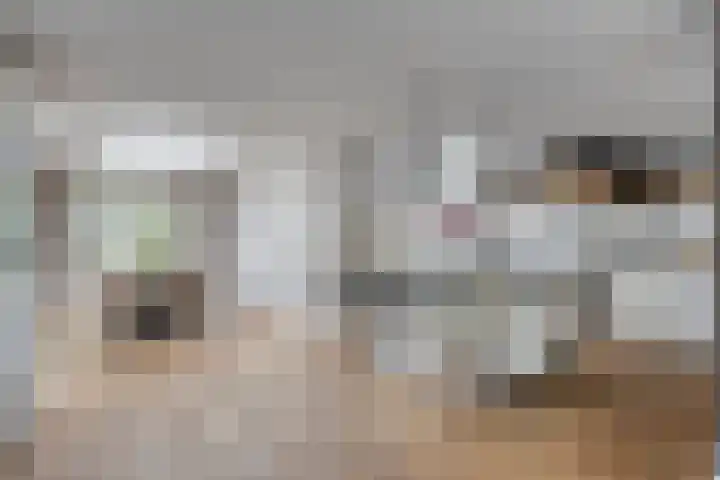 Wilhelminastraat 50 Wemeldinge thumbnail 4