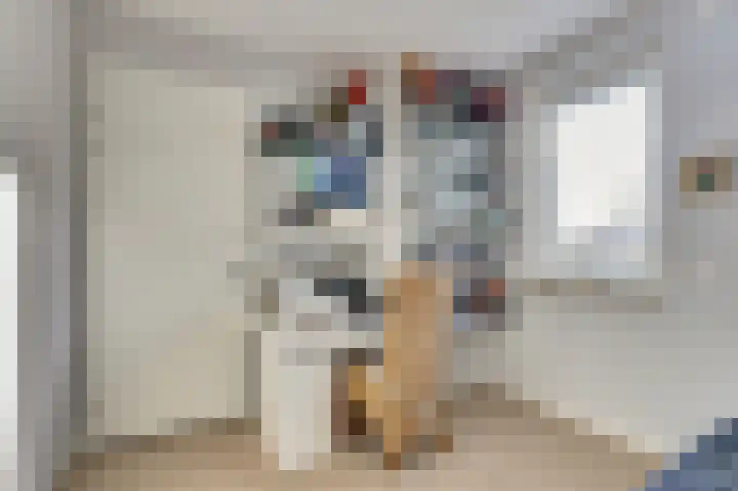 Wilhelminastraat 50 Wissenkerke thumbnail 20