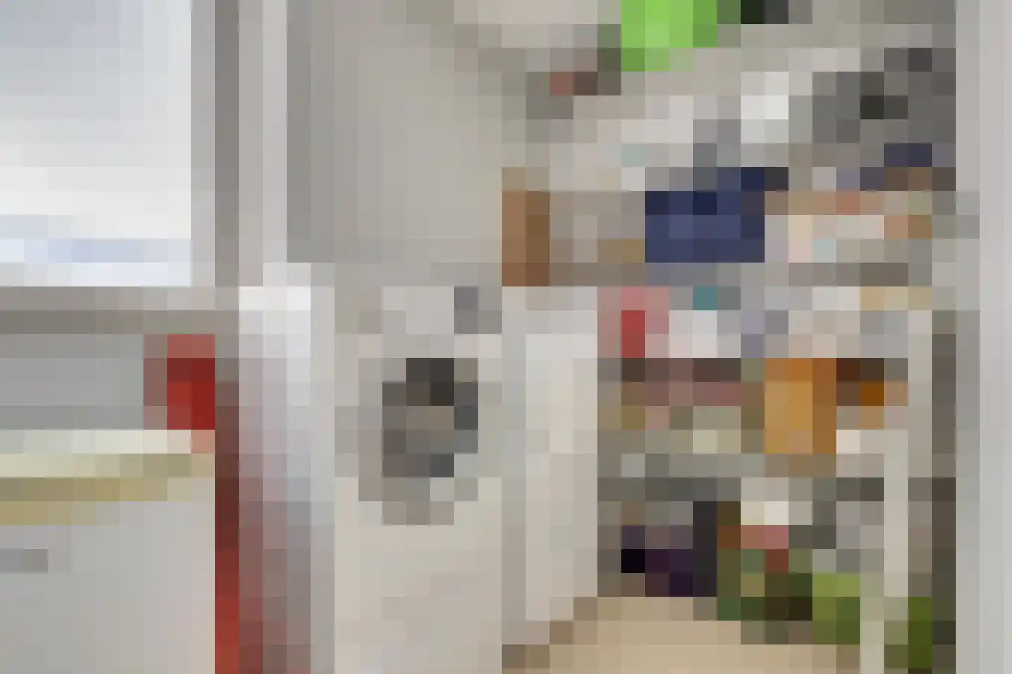 Wilhelminastraat 50 Wissenkerke thumbnail 24