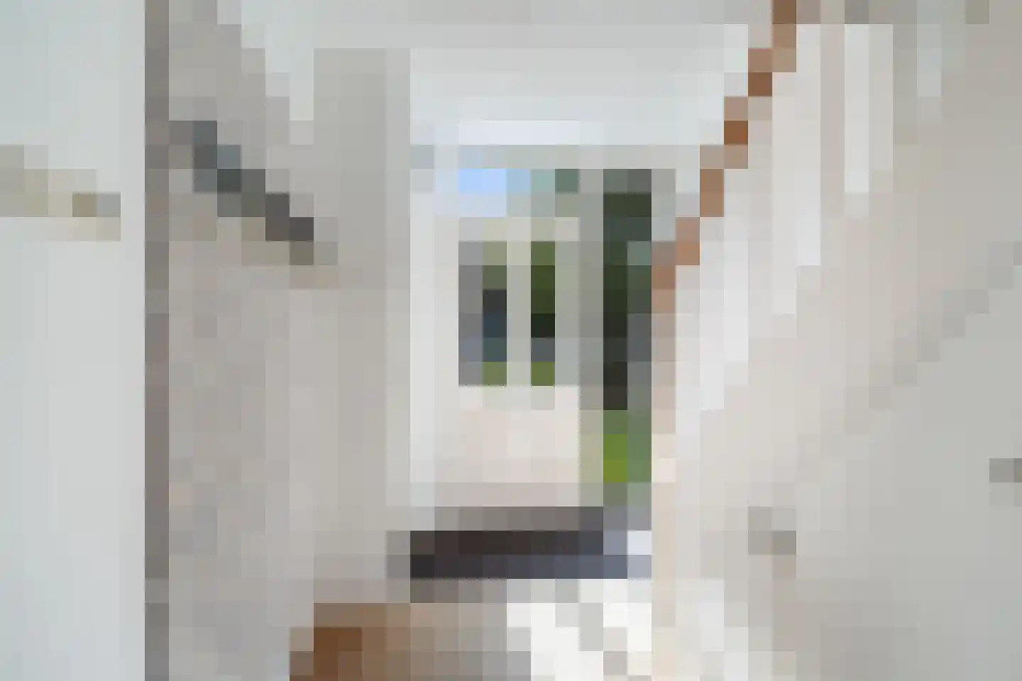 Wilhelminastraat 51 Berkel en Rodenrijs thumbnail 6