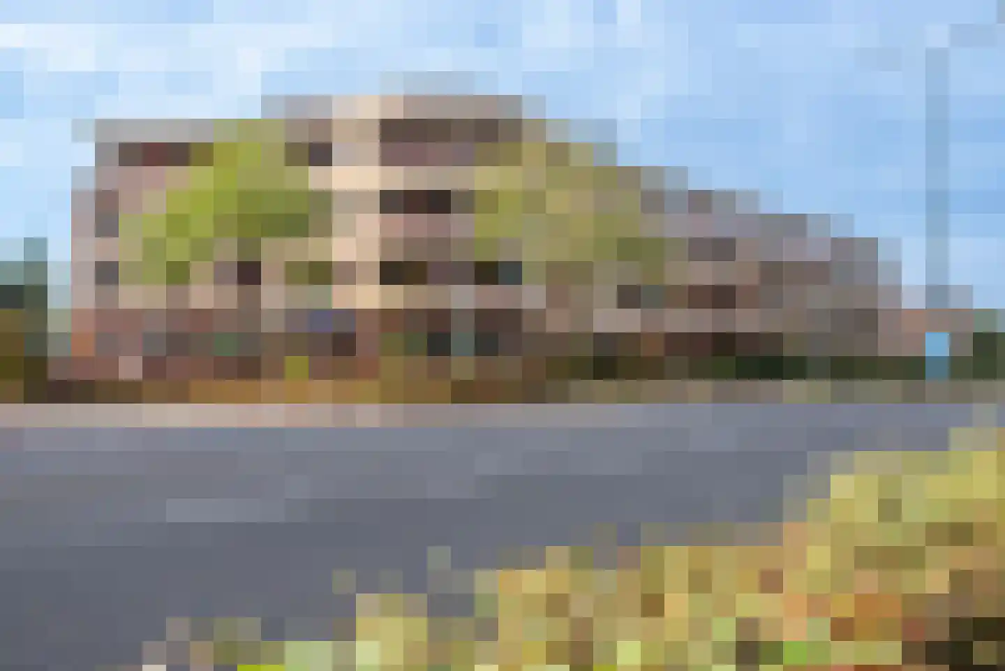 Wilhelminastraat 51 Veenendaal thumbnail 31