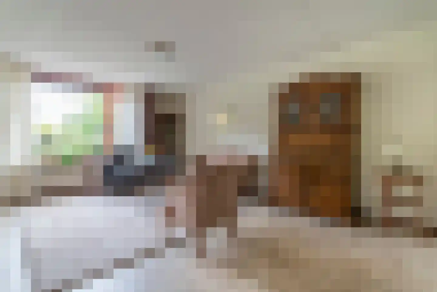 Wilhelminastraat 51 Veenendaal thumbnail 5