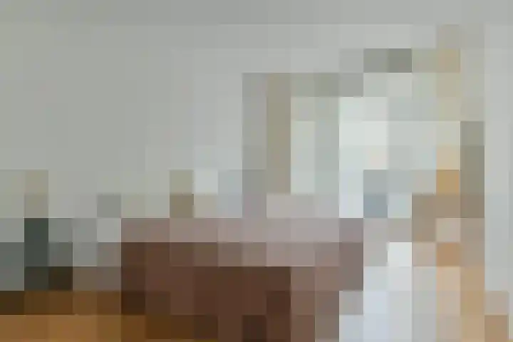 Wilhelminastraat 52 1 Amsterdam thumbnail 11