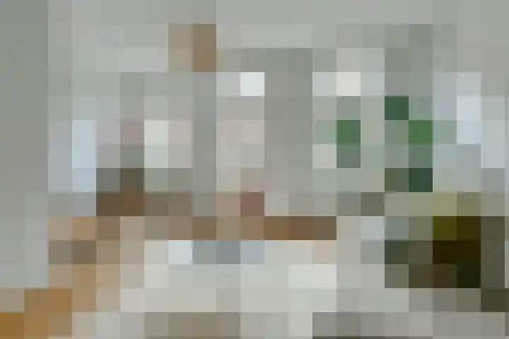 Wilhelminastraat 52 1 Amsterdam thumbnail 5