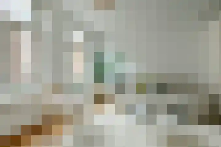 Wilhelminastraat 52 1 Amsterdam thumbnail 6