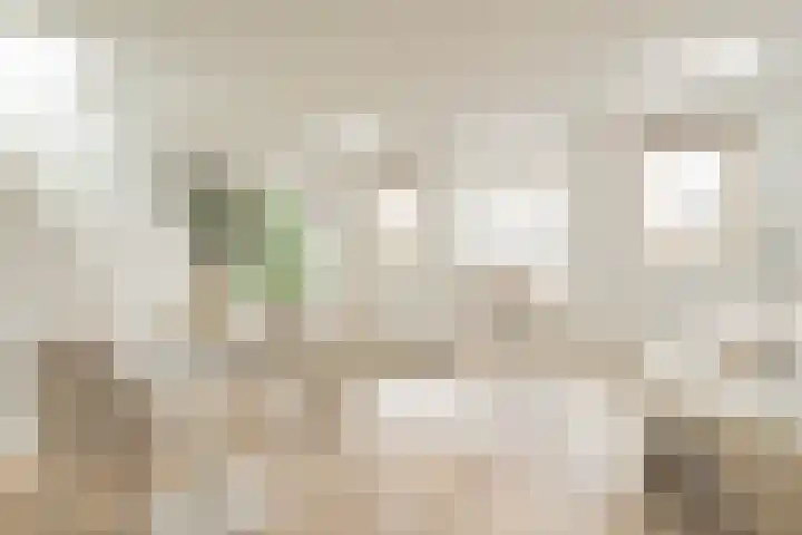 Wilhelminastraat 52 1 Amsterdam thumbnail 7