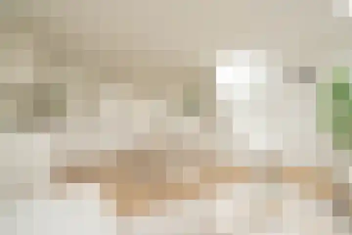 Wilhelminastraat 52 1 Amsterdam thumbnail 9