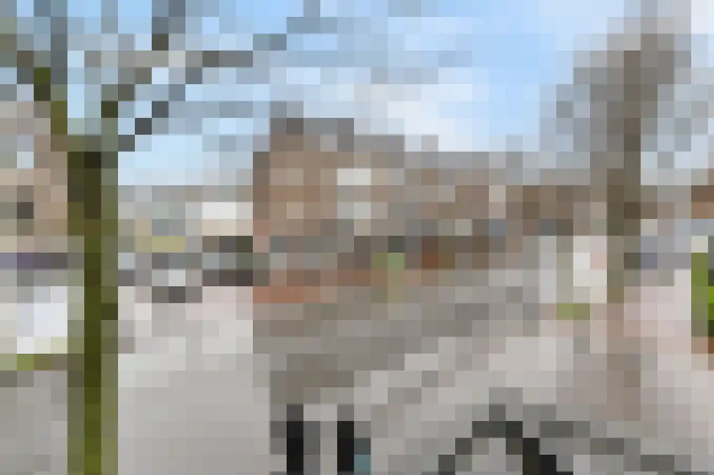 Wilhelminastraat 53 Den Haag thumbnail 32