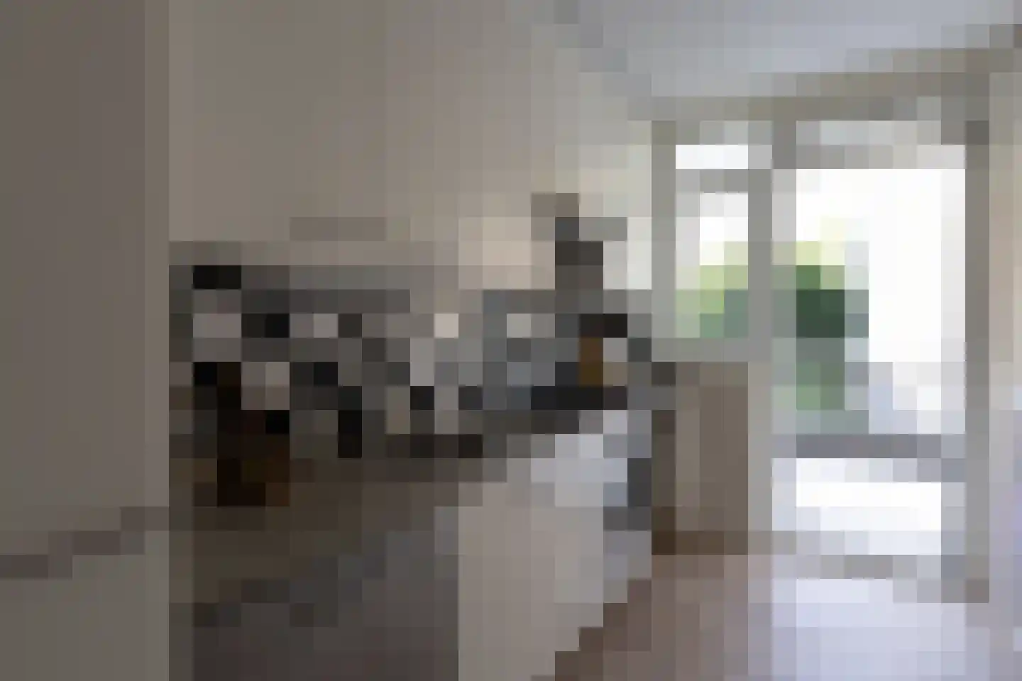 Wilhelminastraat 53 Den Haag thumbnail 4