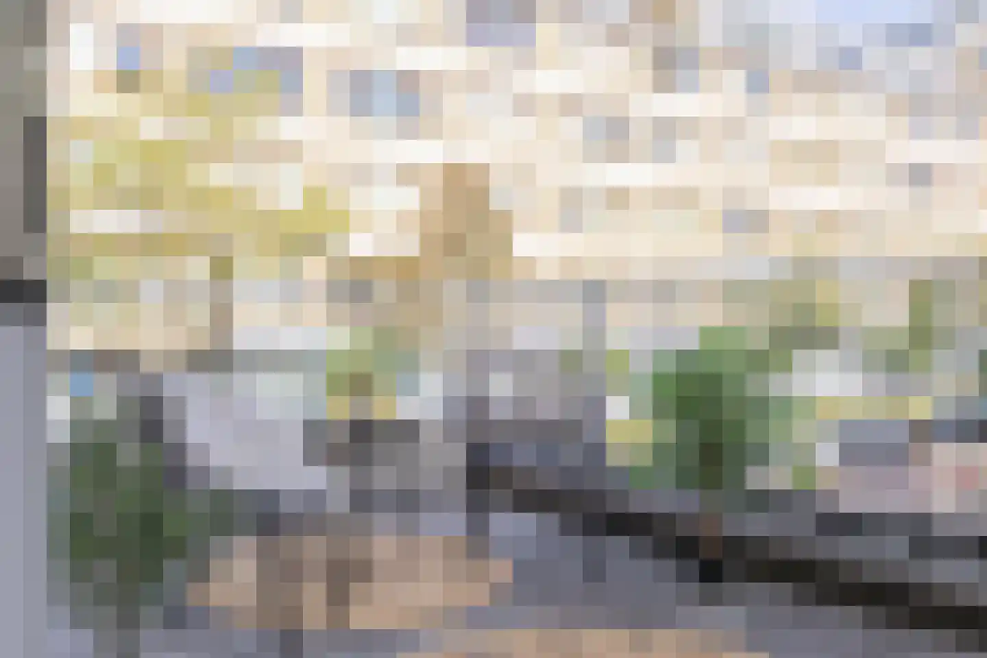Wilhelminastraat 53 Den Haag thumbnail 5