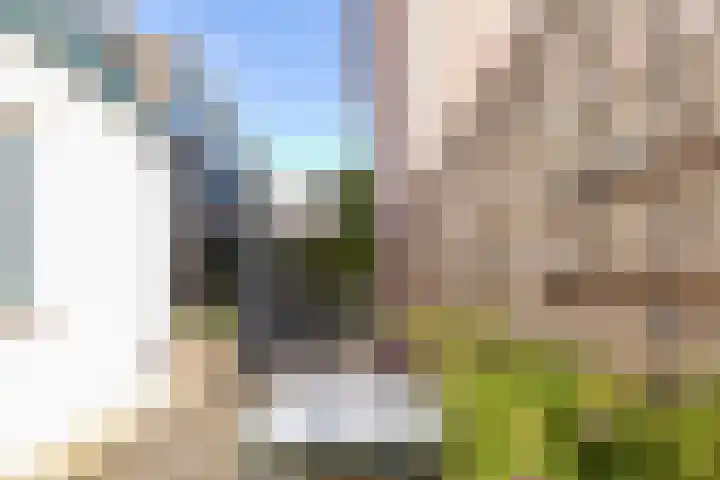 Wilhelminastraat 53 Noordwijk thumbnail 17