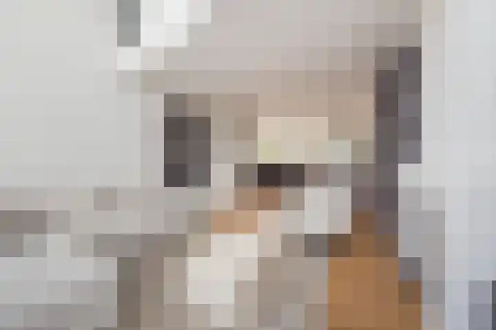 Wilhelminastraat 54 A Noordwijk thumbnail 6