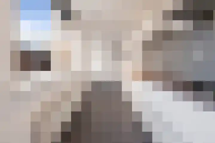 Wilhelminastraat 54 Den Helder thumbnail 10