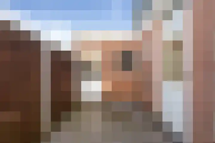 Wilhelminastraat 54 Den Helder thumbnail 17