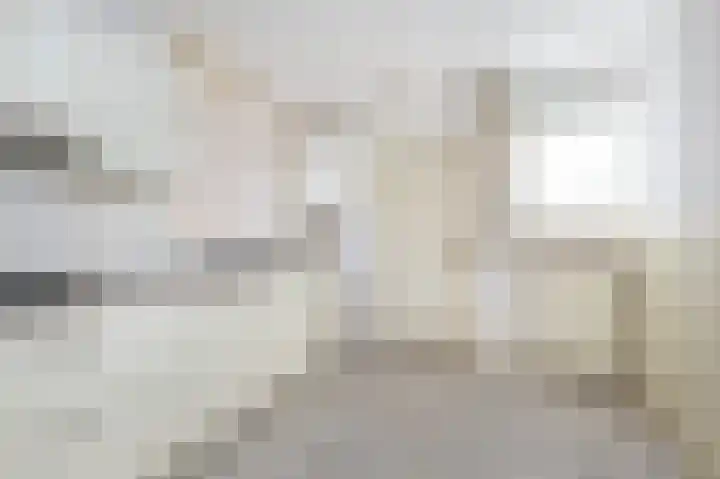 Wilhelminastraat 54 Oude-Tonge thumbnail 10