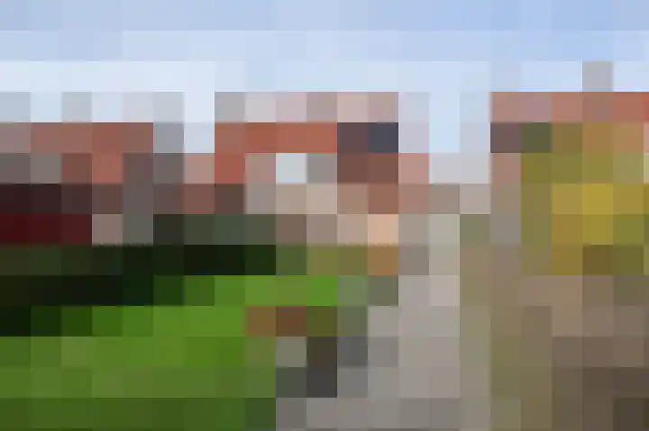 Wilhelminastraat 54 Oude-Tonge thumbnail 25