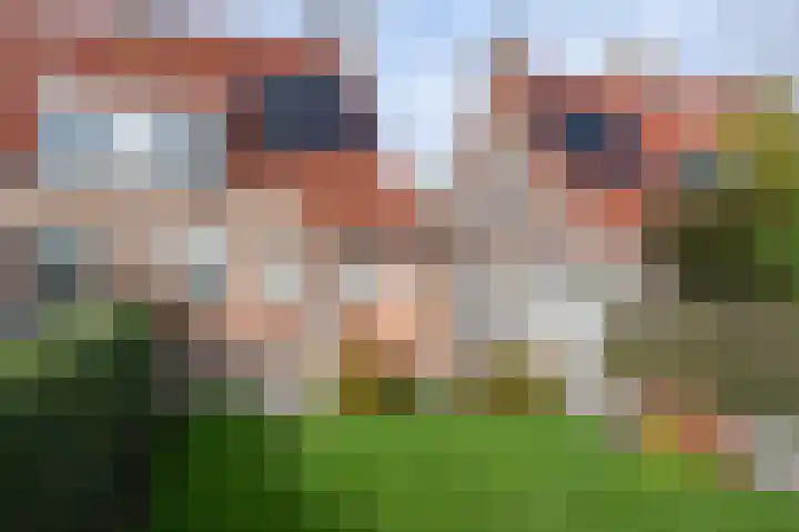 Wilhelminastraat 54 Oude-Tonge thumbnail 26