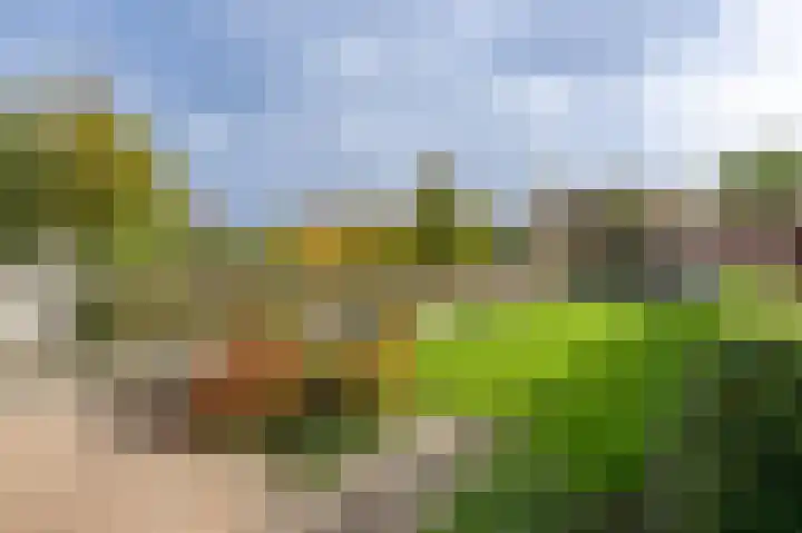 Wilhelminastraat 54 Oude-Tonge thumbnail 27