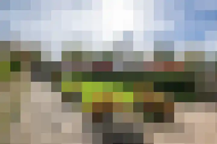 Wilhelminastraat 54 Oude-Tonge thumbnail 28