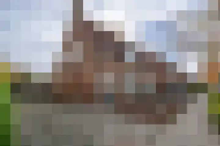 Wilhelminastraat 54 Oude-Tonge thumbnail 5