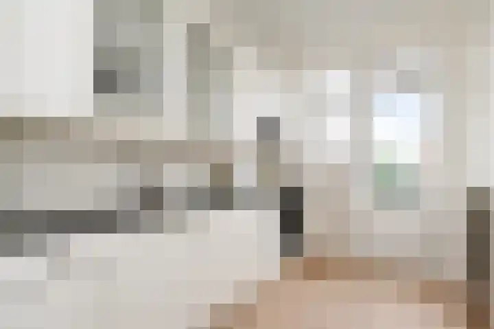 Wilhelminastraat 55 Den Haag thumbnail 18