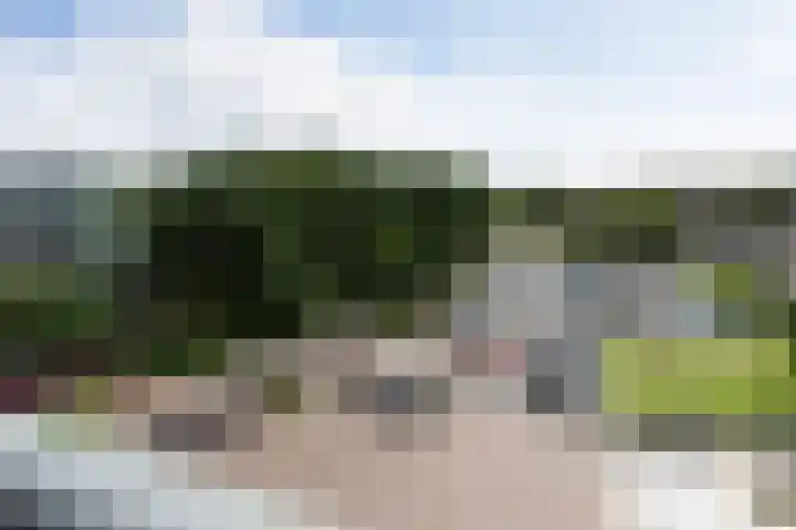 Wilhelminastraat 55 H Emmen thumbnail 27