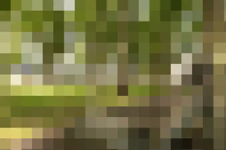 Wilhelminastraat 55 H Emmen thumbnail 33