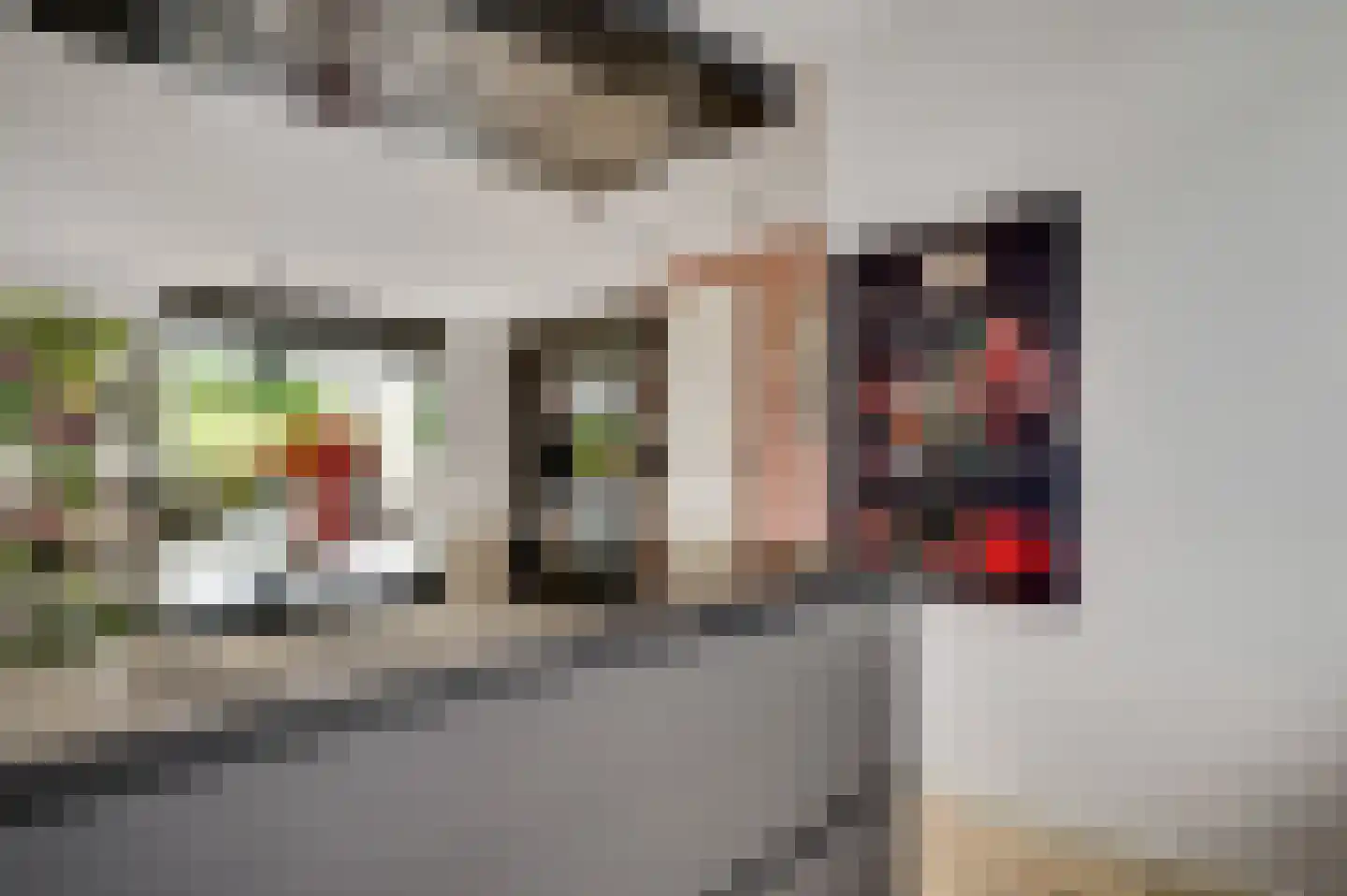 Wilhelminastraat 55 Weert thumbnail 13