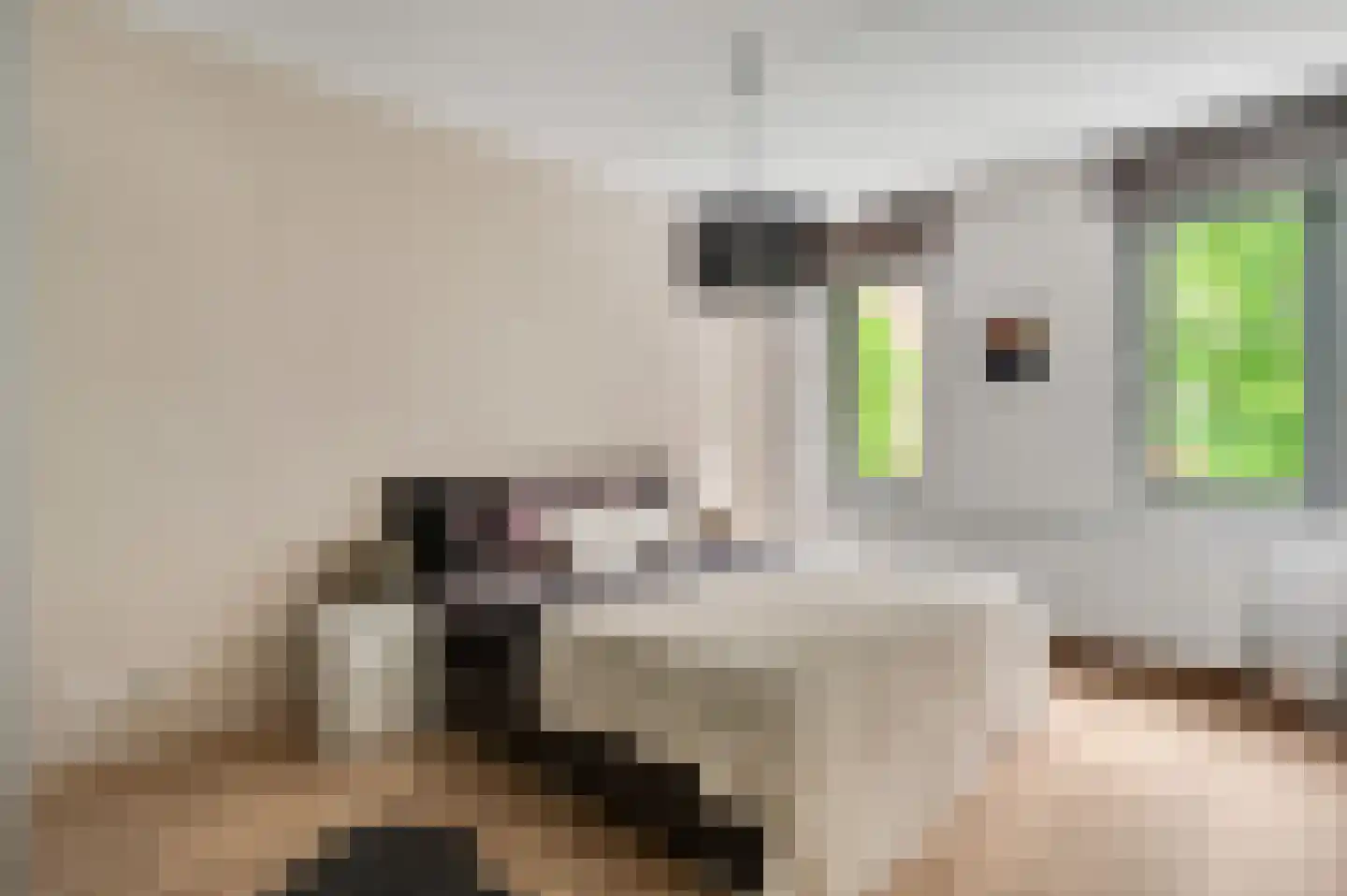Wilhelminastraat 55 Weert thumbnail 17