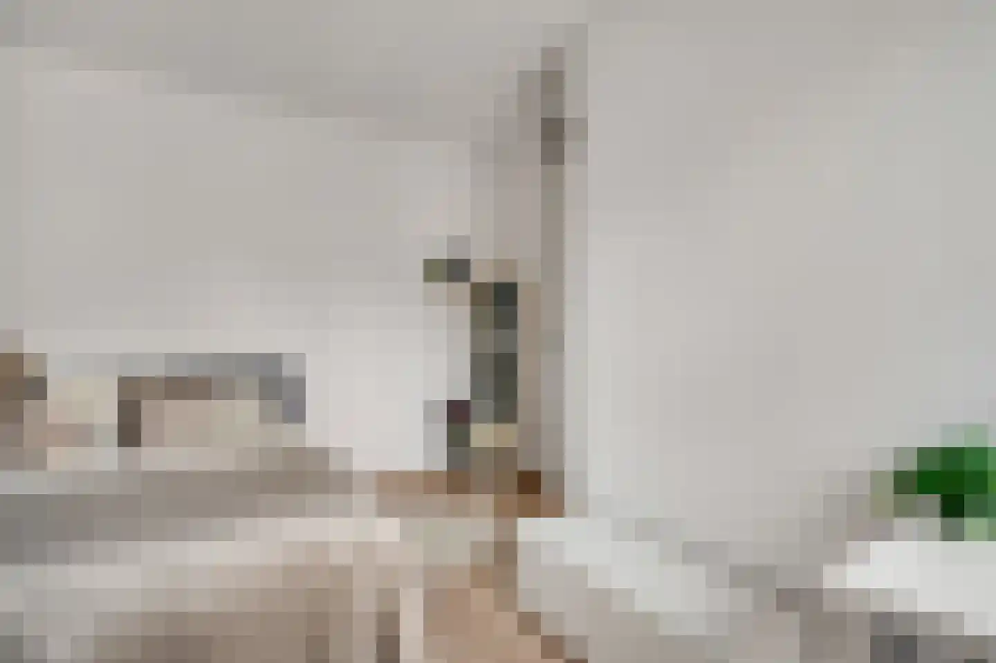 Wilhelminastraat 55 Weert thumbnail 20