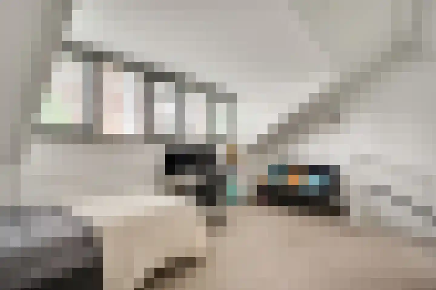 Wilhelminastraat 55 Weert thumbnail 26