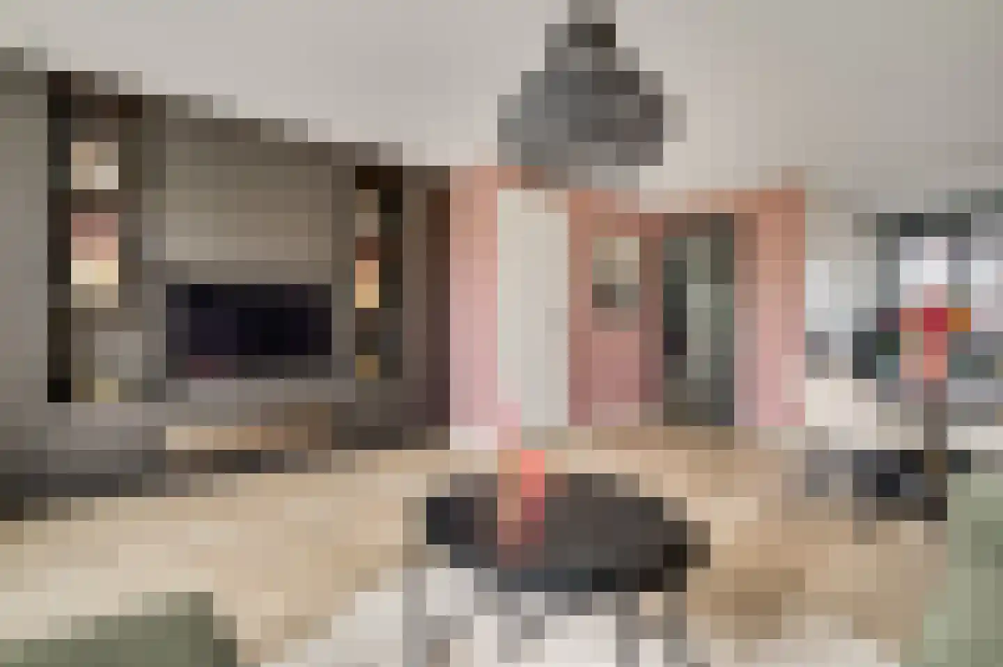 Wilhelminastraat 55 Weert thumbnail 4