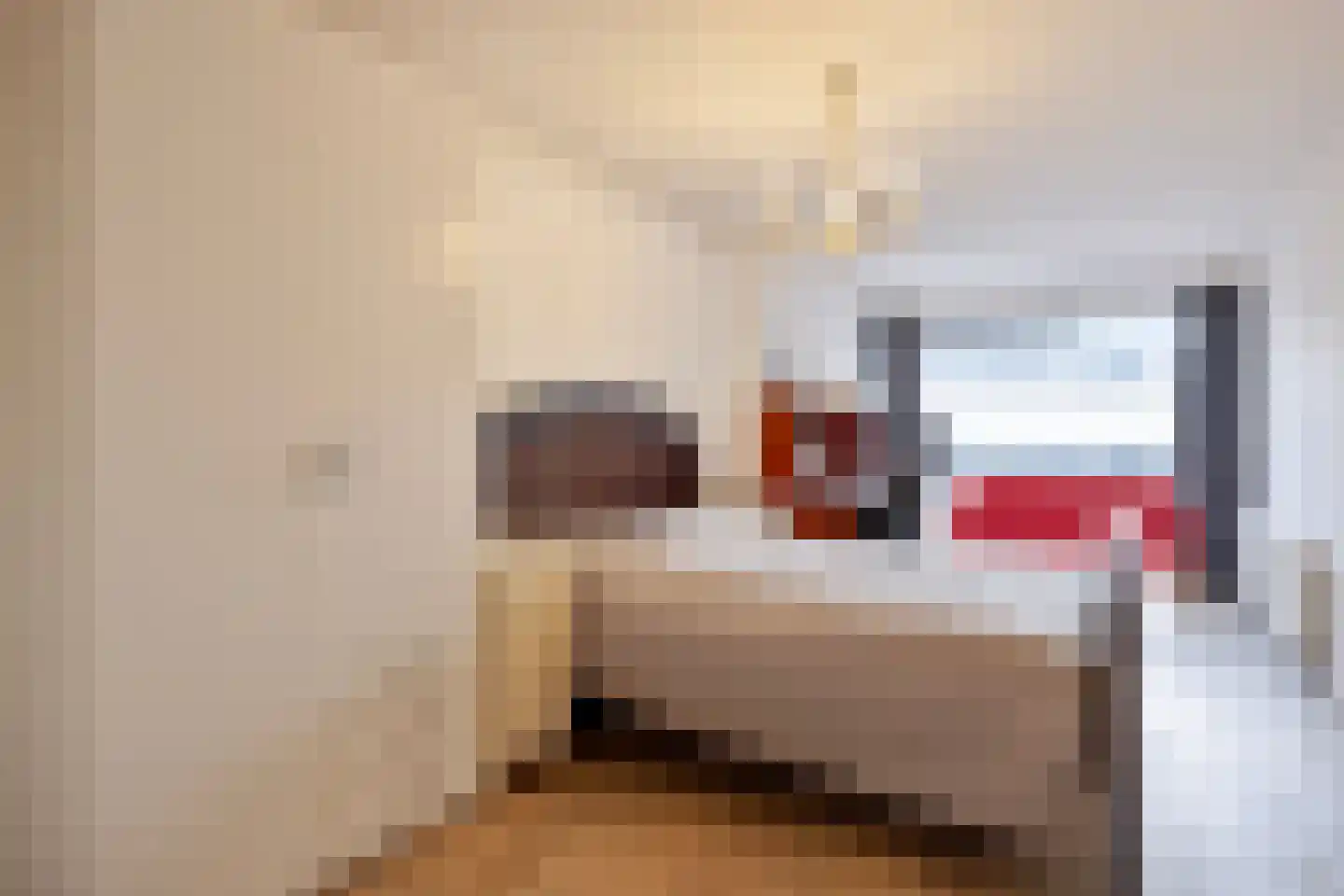 Wilhelminastraat 56 A Wemeldinge thumbnail 19
