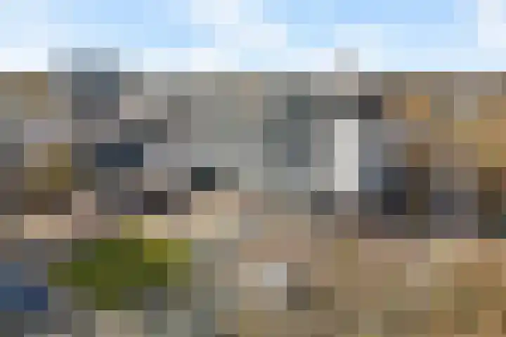 Wilhelminastraat 56 E Emmen thumbnail 38