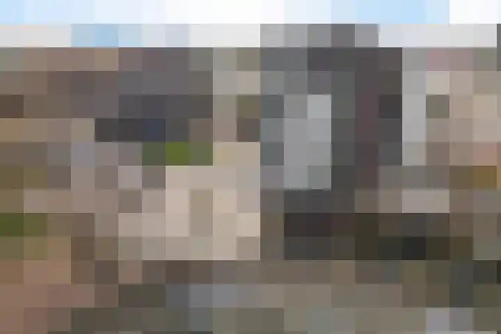 Wilhelminastraat 56 E Emmen thumbnail 41