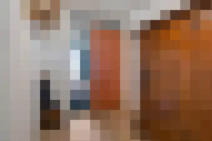 Wilhelminastraat 56 E Emmen thumbnail 8