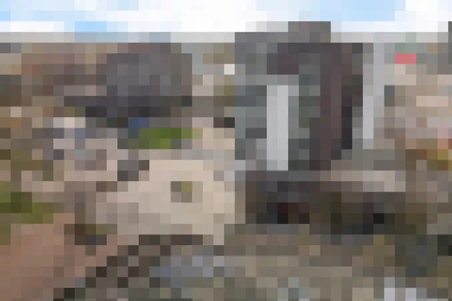 Wilhelminastraat 56 H Emmen thumbnail 41