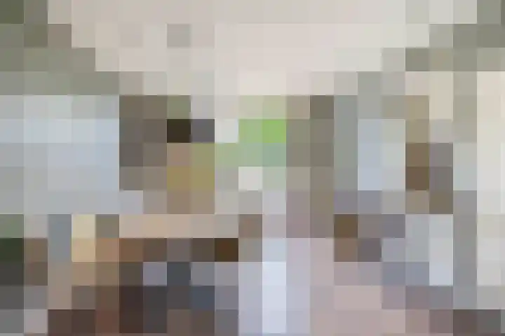 Wilhelminastraat 56 Lisse thumbnail 10