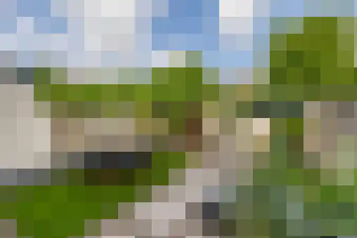 Wilhelminastraat 56 Lisse thumbnail 15