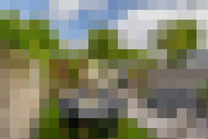 Wilhelminastraat 56 Lisse thumbnail 16