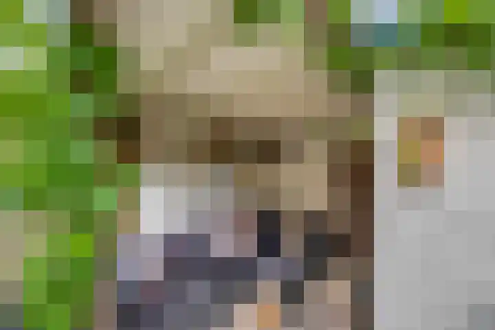 Wilhelminastraat 56 Lisse thumbnail 17