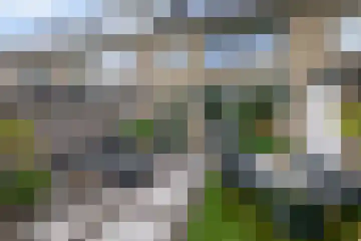 Wilhelminastraat 56 Lisse thumbnail 18