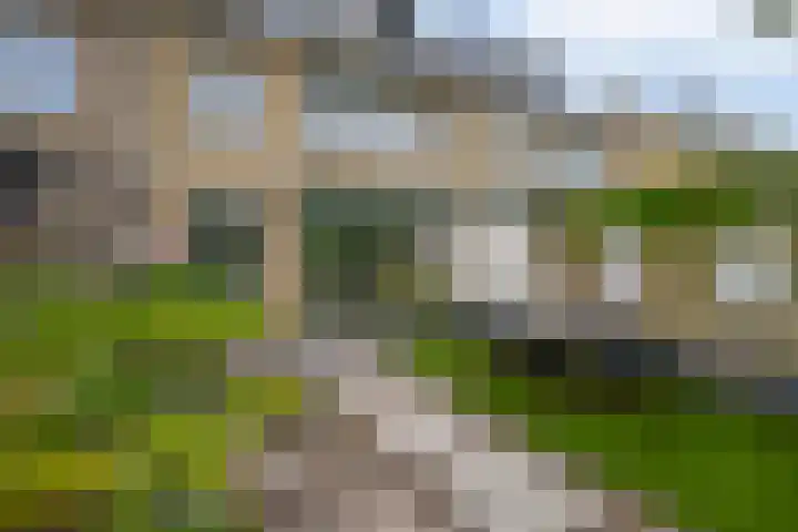 Wilhelminastraat 56 Lisse thumbnail 19