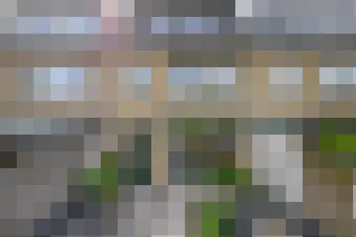Wilhelminastraat 56 Lisse thumbnail 20