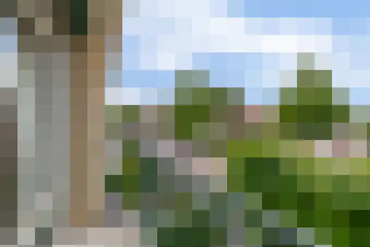 Wilhelminastraat 56 Lisse thumbnail 29