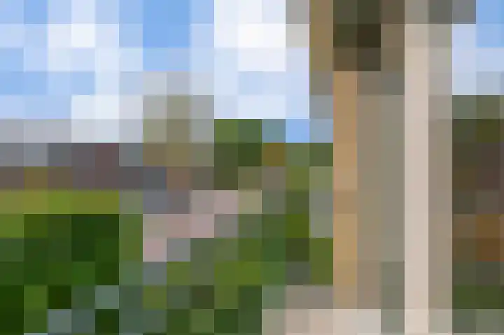 Wilhelminastraat 56 Lisse thumbnail 30