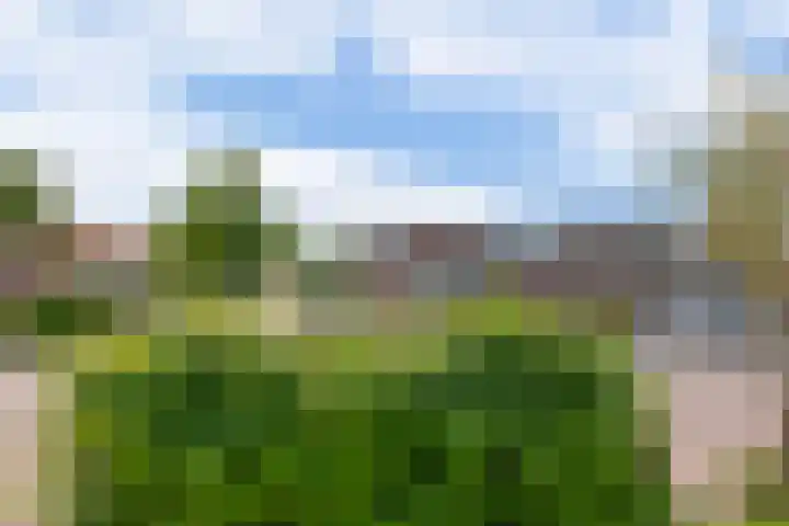 Wilhelminastraat 56 Lisse thumbnail 31
